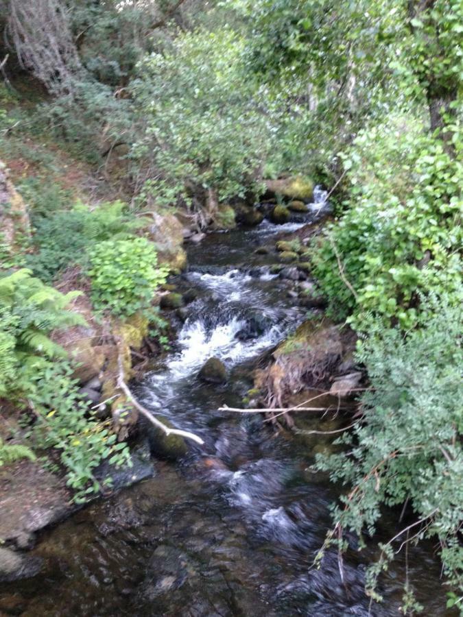 Casa Sanabresa Διαμέρισμα Galende Εξωτερικό φωτογραφία